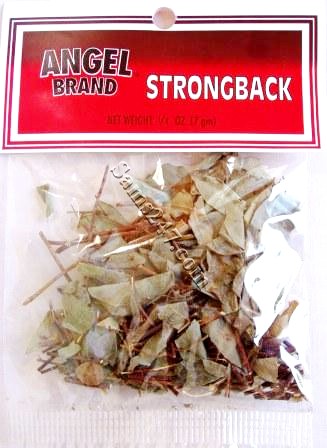 ANGEL BRAND STRONGBACK 7 GM 

ANGEL BRAND STRONGBACK 7 GM: available at Sam's Caribbean Marketplace, the Caribbean Superstore for the widest variety of Caribbean food, CDs, DVDs, and Jamaican Black Castor Oil (JBCO). 